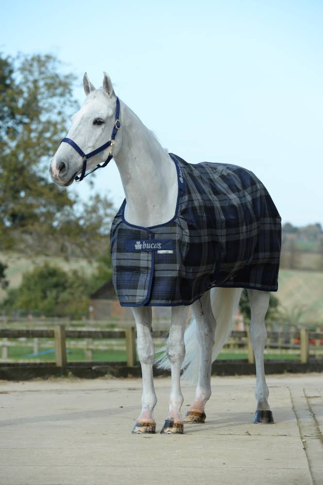 Stable Medium Tartan R210298