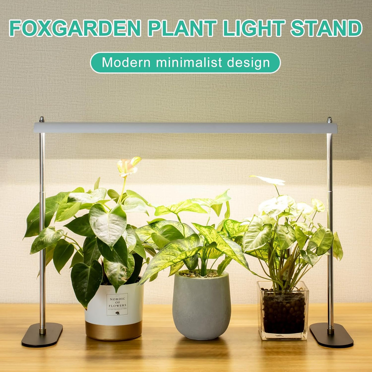 Grow Light Stand with Timer D3165