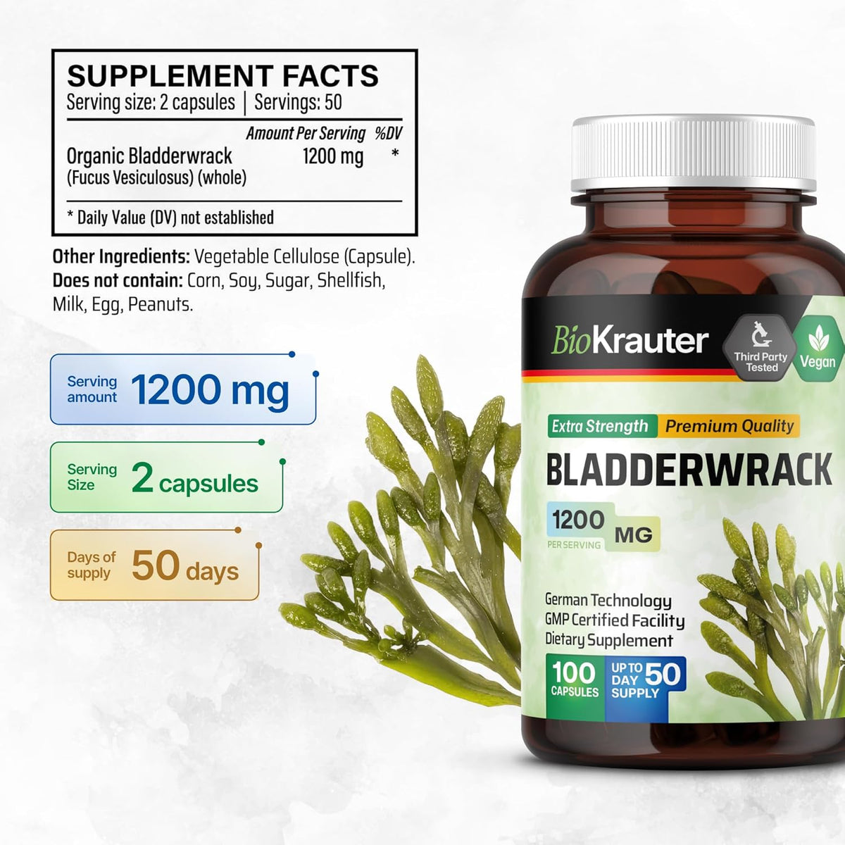 1200 mg Bladderwrack Capsules, 100 Veggie Capsules R8020
