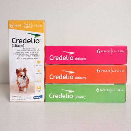 Chewable Tablet for Dogs T79970