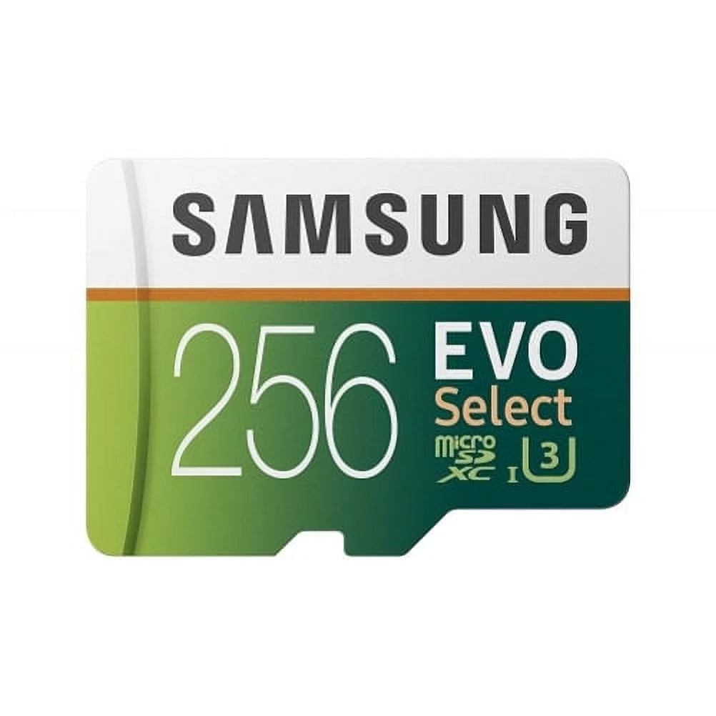 256GB MicroSDXC Class 10 Memory Card with Carry Case W4514
