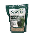 100% Organic Wheatgrass Seeds for Sprouting T280