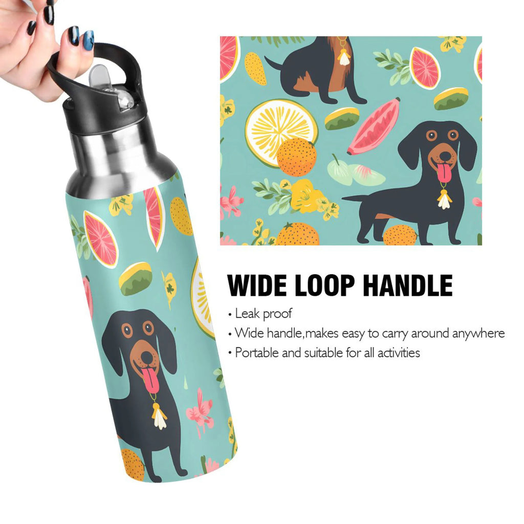 Insulated Stainless Steel Water Bottle with Straw Lid, 20 oz S4734
