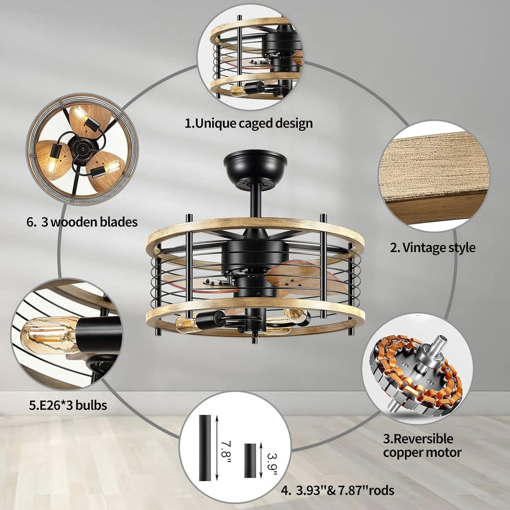 20'' Bladeless Ceiling Fan with Lights Remote Control D795