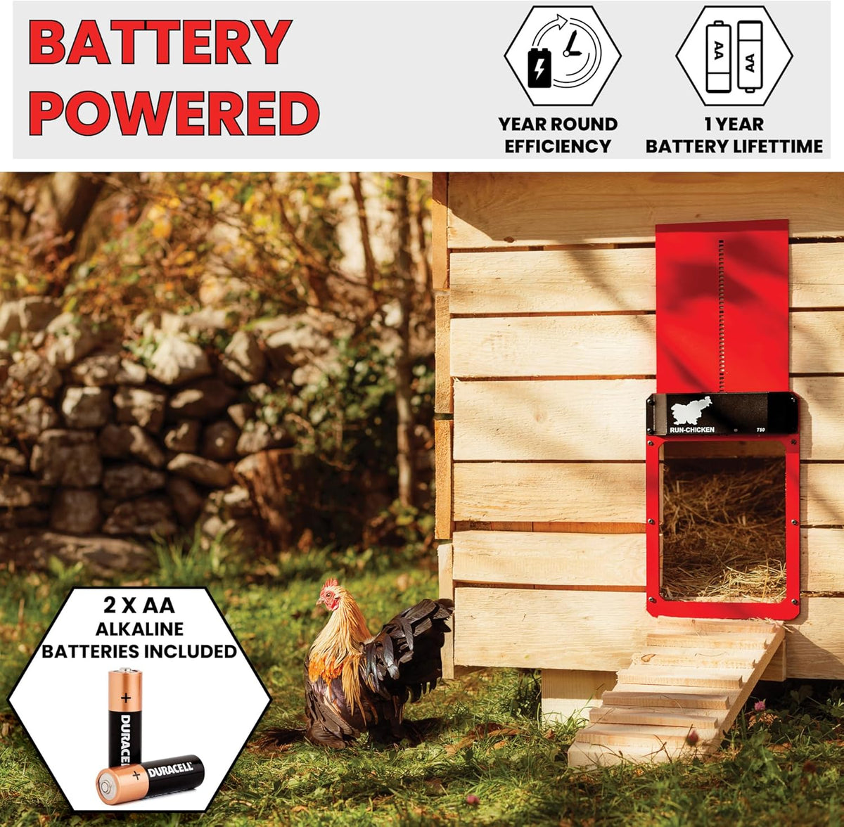 Red Chicken Door K718