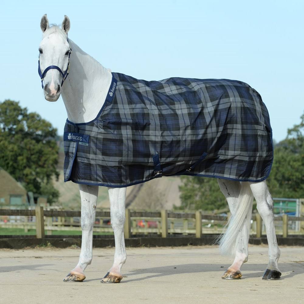 Stable Medium Tartan R210298