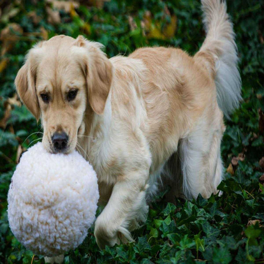 HuggleFleece Ball Dog Toy B8674