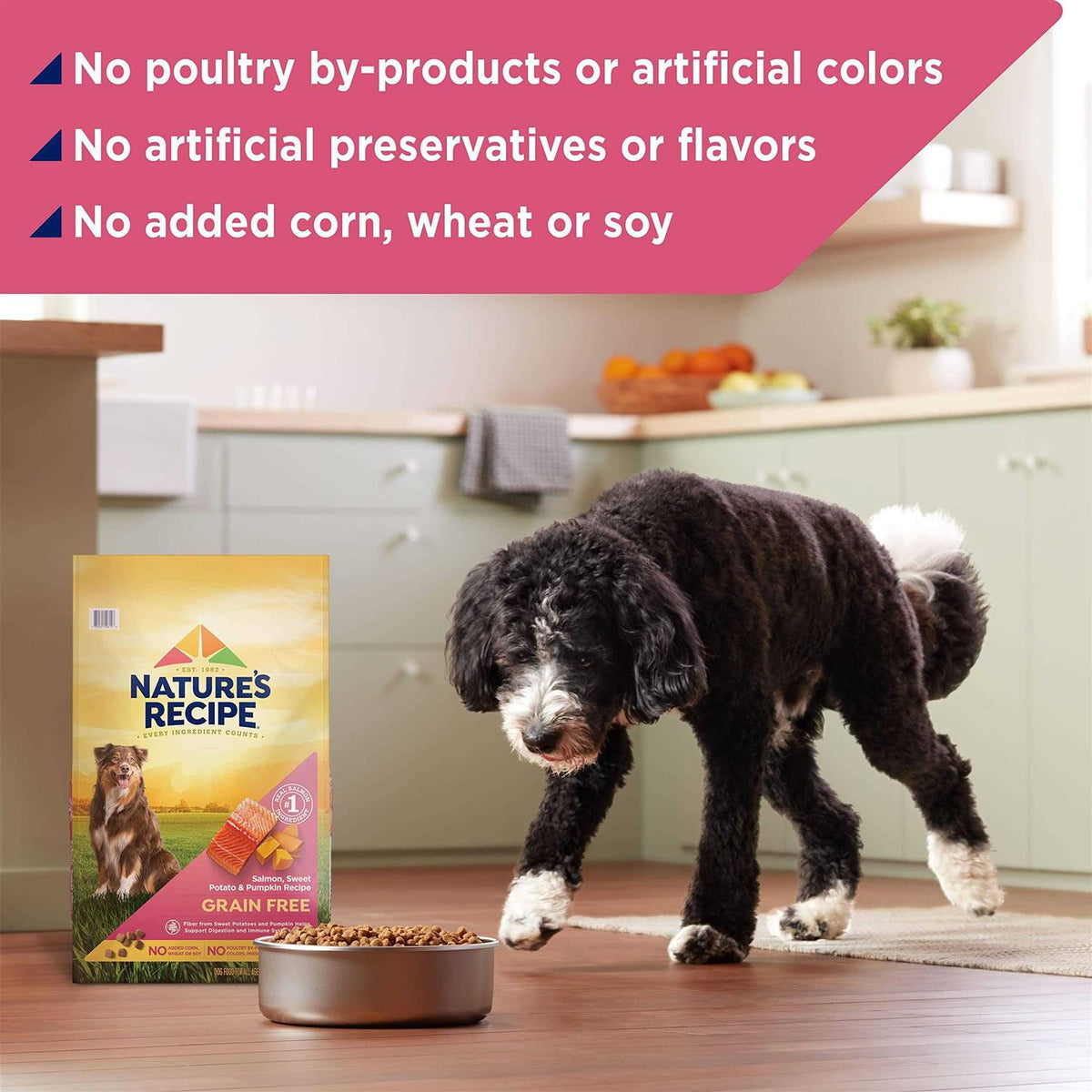 Grain Free Dry Dog Food A821982