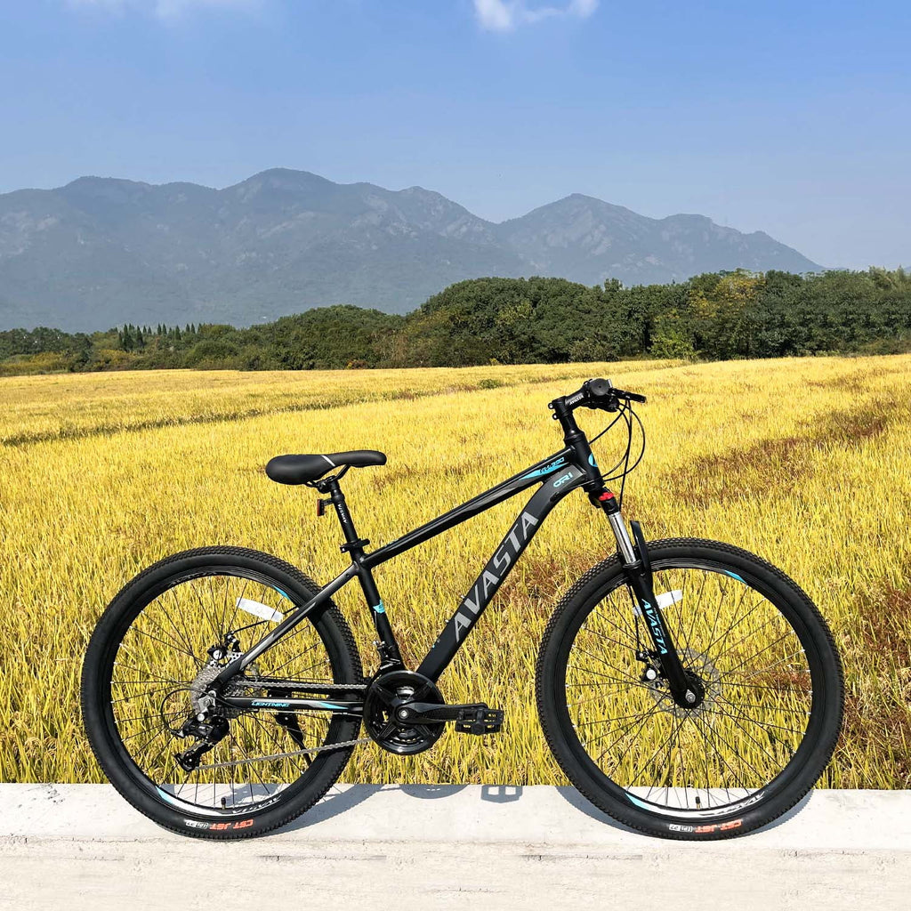 21-Speeds 26-Inch Wheels Aluminum Frame Disc Brakes Mountain Bike W908353