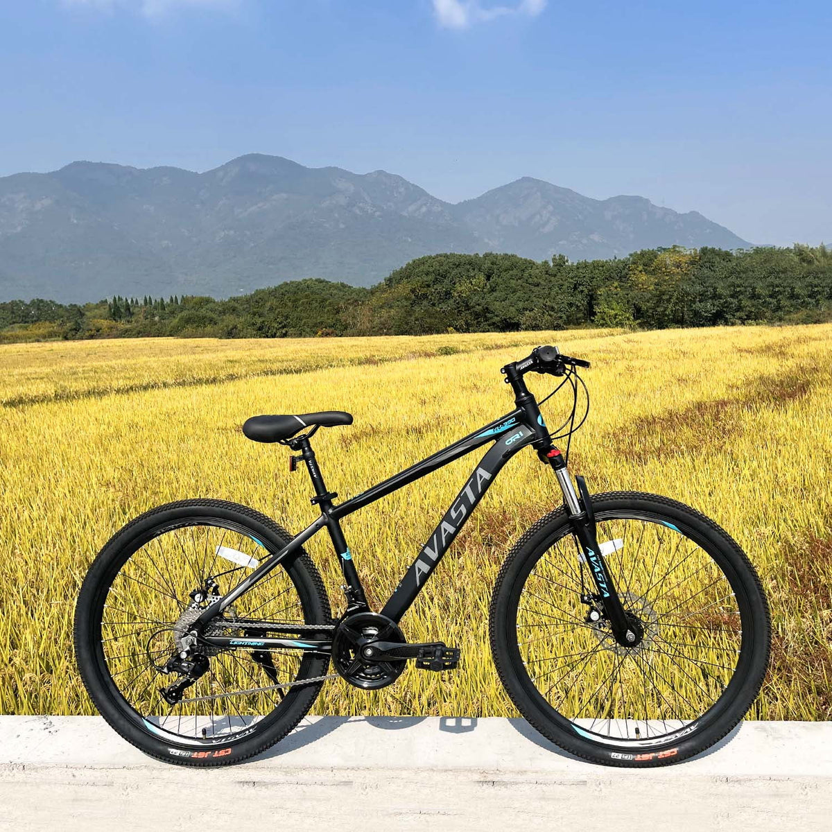 21-Speeds 26-Inch Wheels Aluminum Frame Disc Brakes Mountain Bike W908353