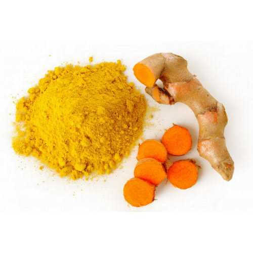 Turmeric Powder Dog & Cat Supplement U721