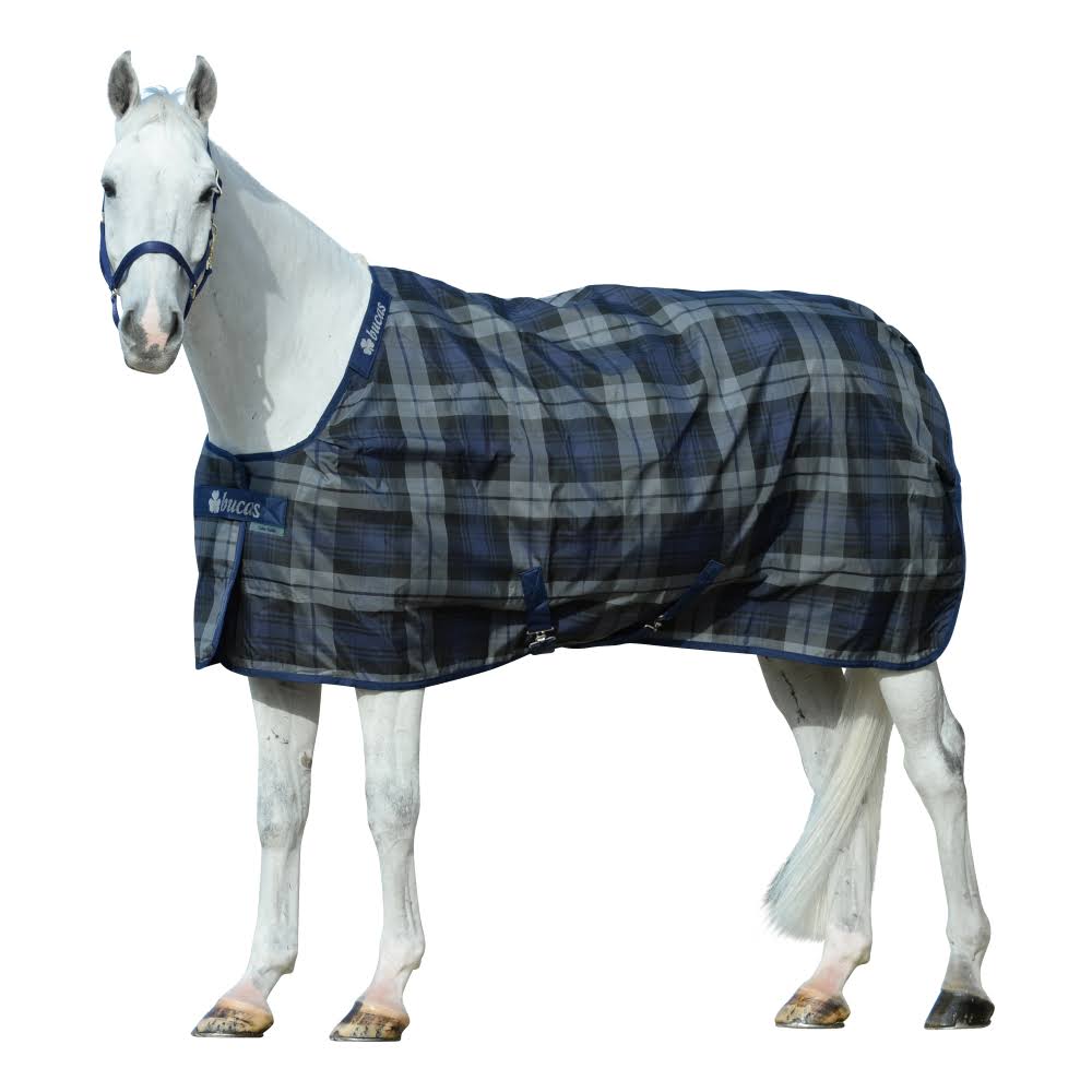 Stable Medium Tartan R210298