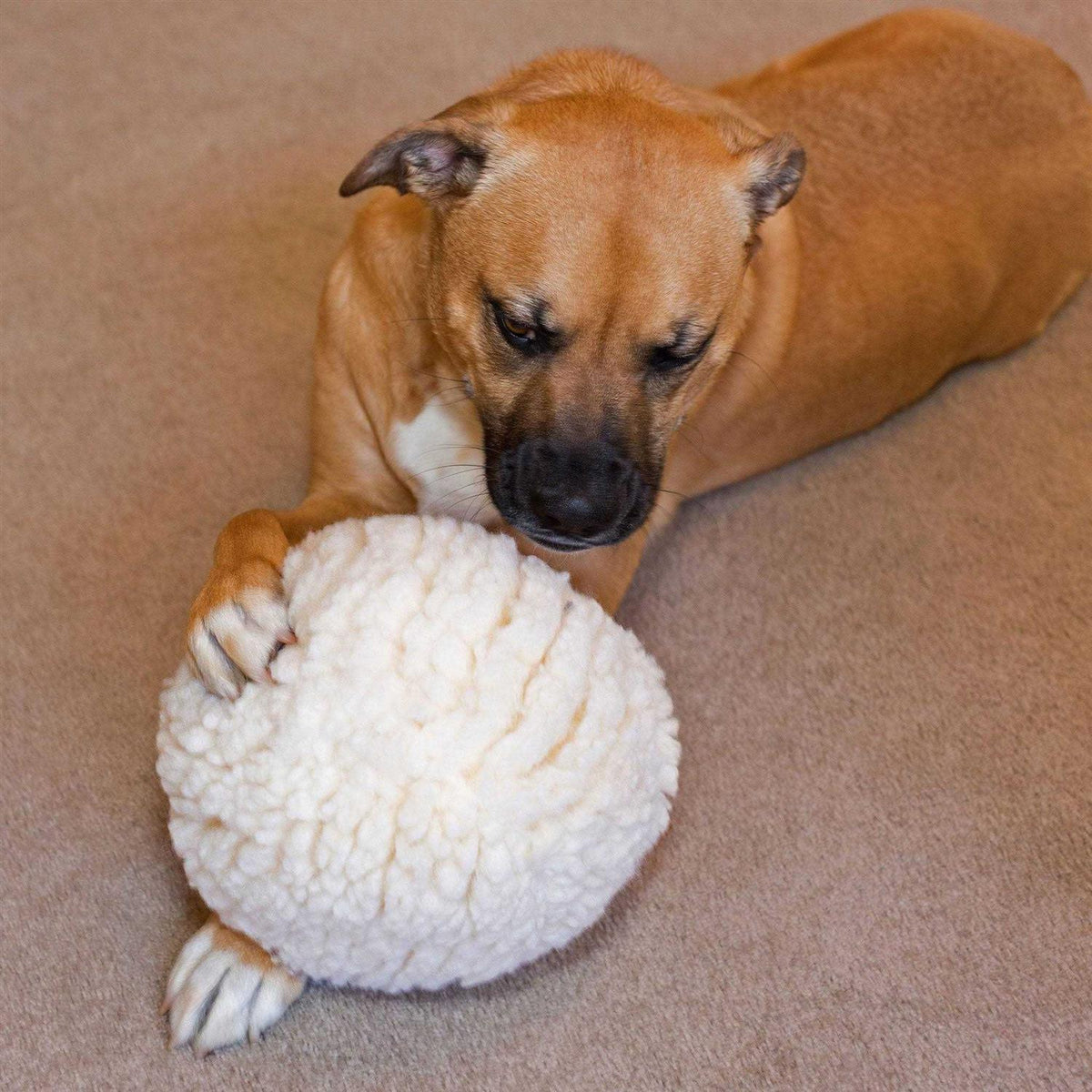 HuggleFleece Ball Dog Toy B8674