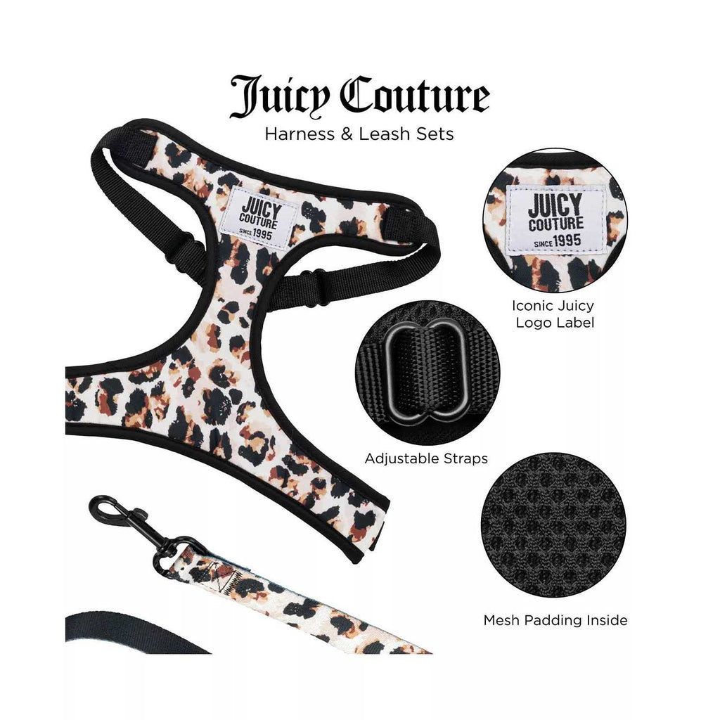 Harness & Leash Set Y773