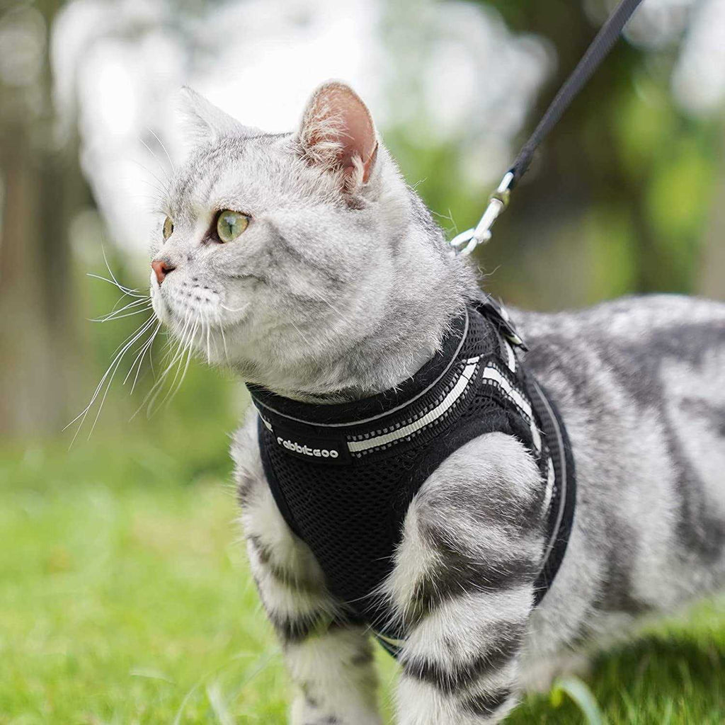 Cat Harness and Leash Adjustable Soft Vest Q13998