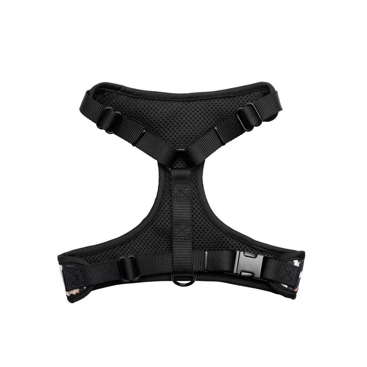 Harness & Leash Set Y773