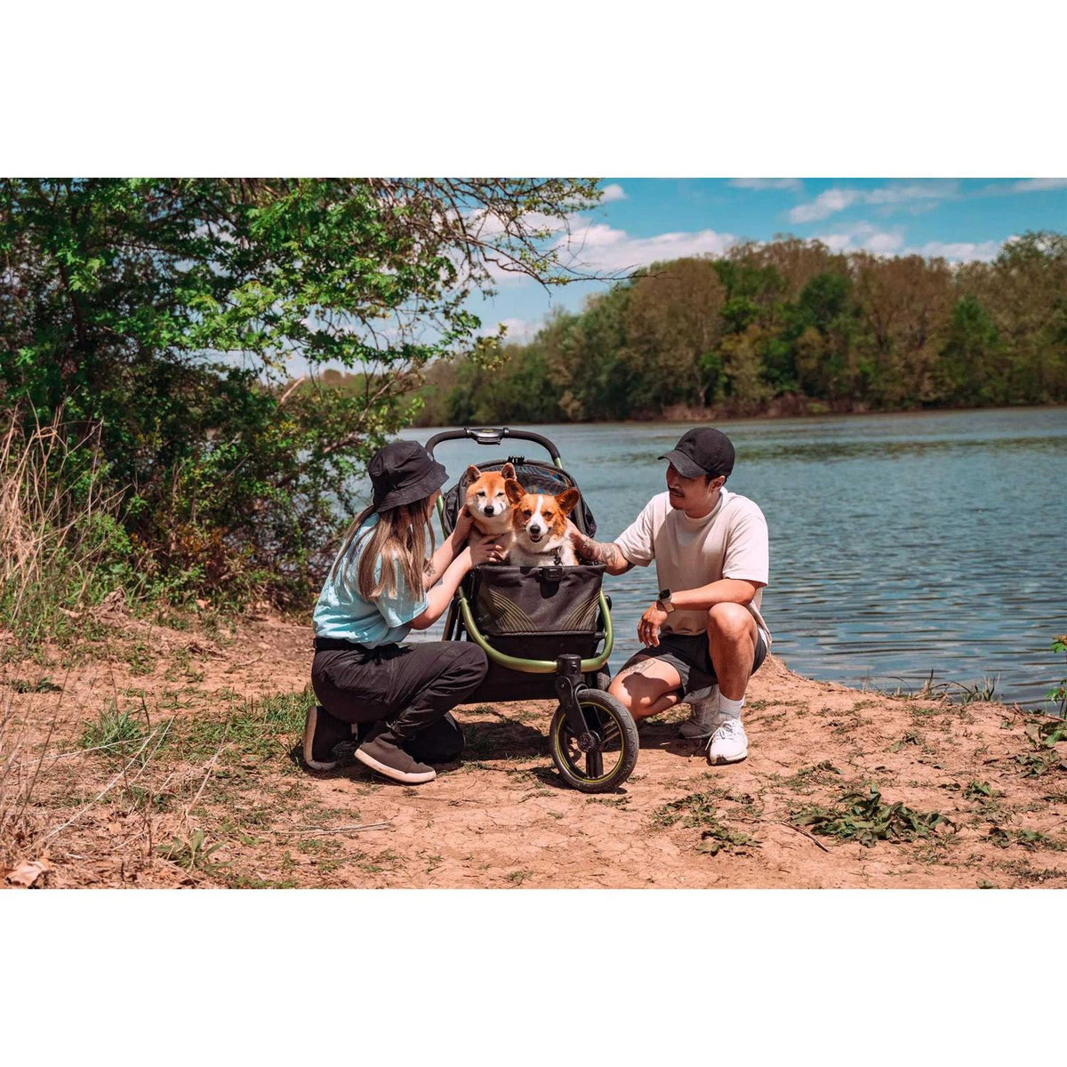 All Terrain Pet Jogging Stroller D24308