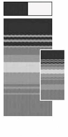 RV Awning Fabric X674132
