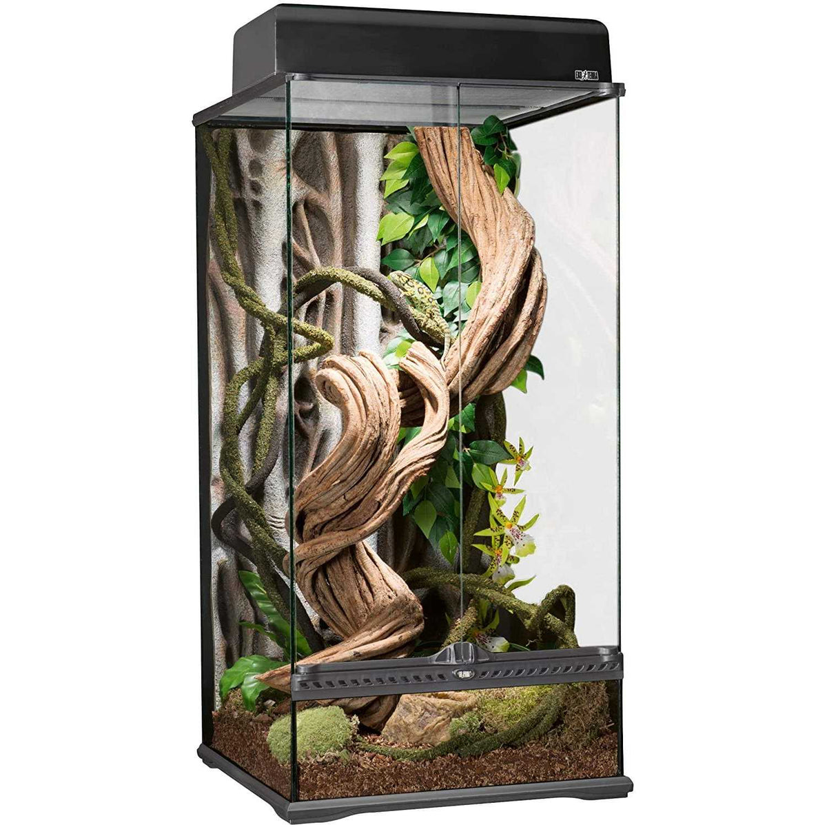 Glass Terrarium Z637643