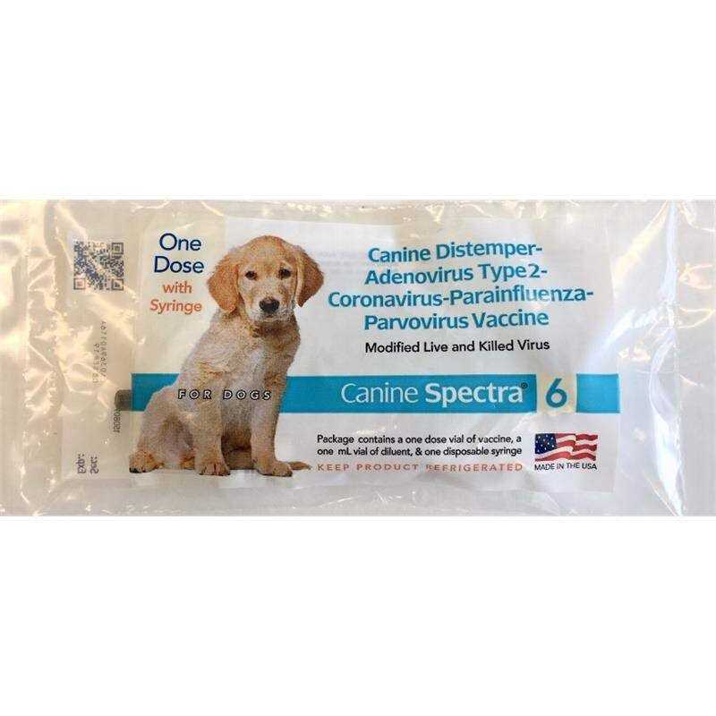 Dog Vaccine I73717