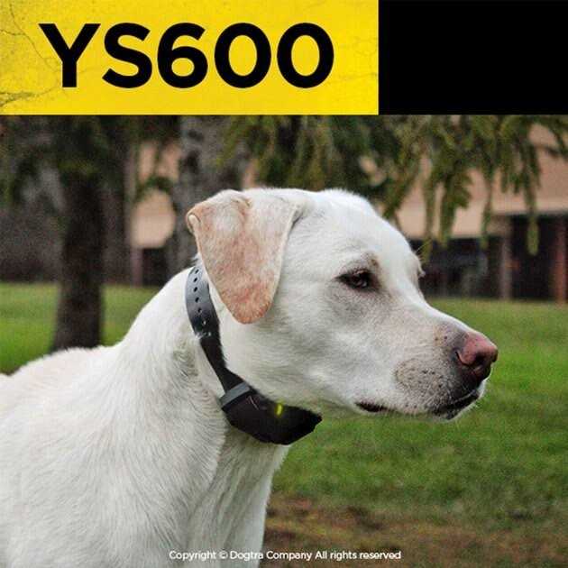 No Bark Collar N356