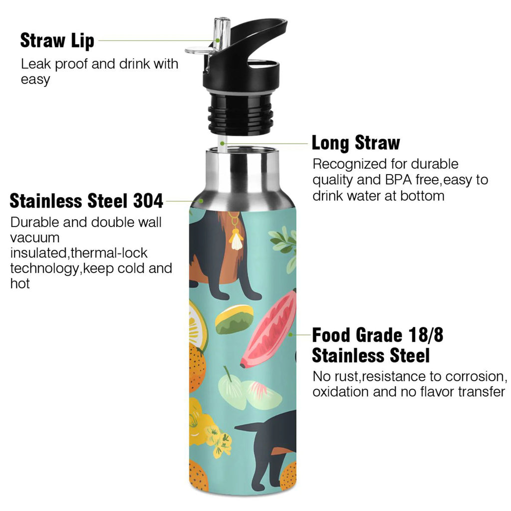 Insulated Stainless Steel Water Bottle with Straw Lid, 20 oz S4734