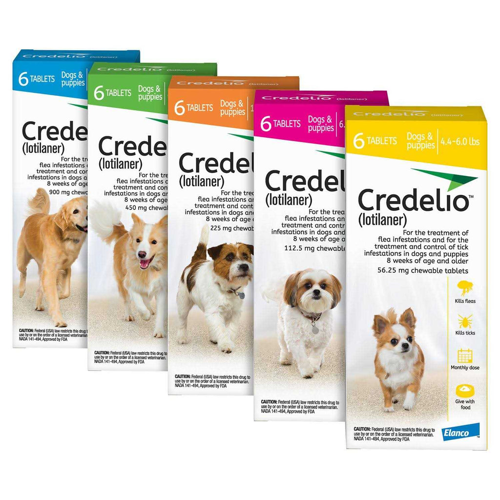 Chewable Tablet for Dogs T79970