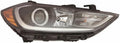 Passenger Side Halogen Headlight with Daytime Running Light Z55421