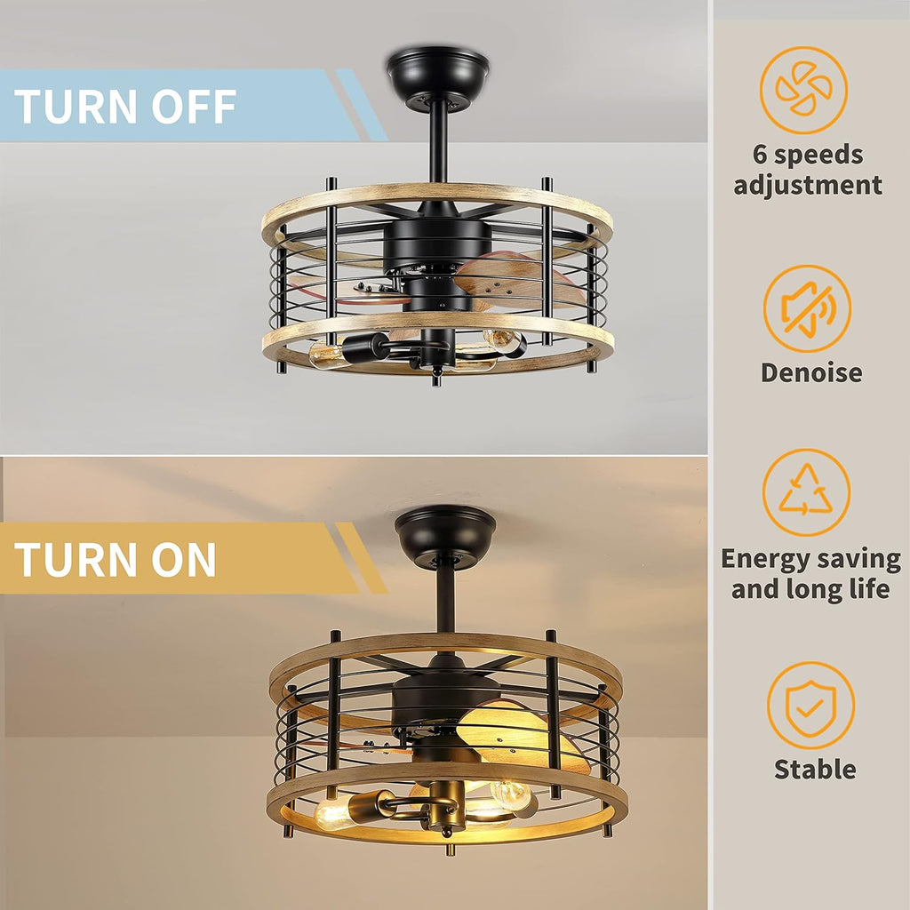 20'' Bladeless Ceiling Fan with Lights Remote Control D795