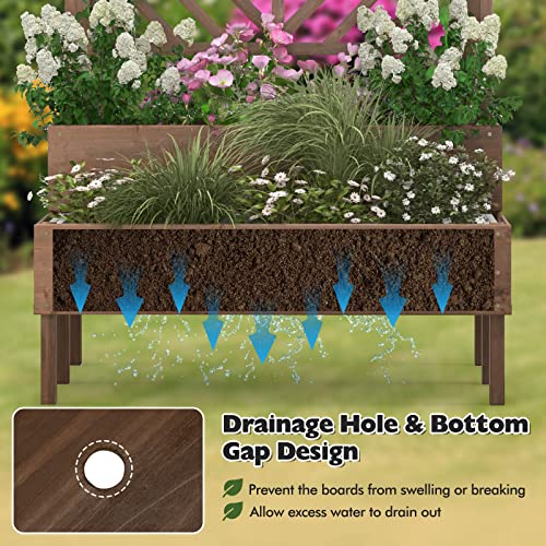 2-Tier Raised Wooden Garden Bed with Trellis W7257
