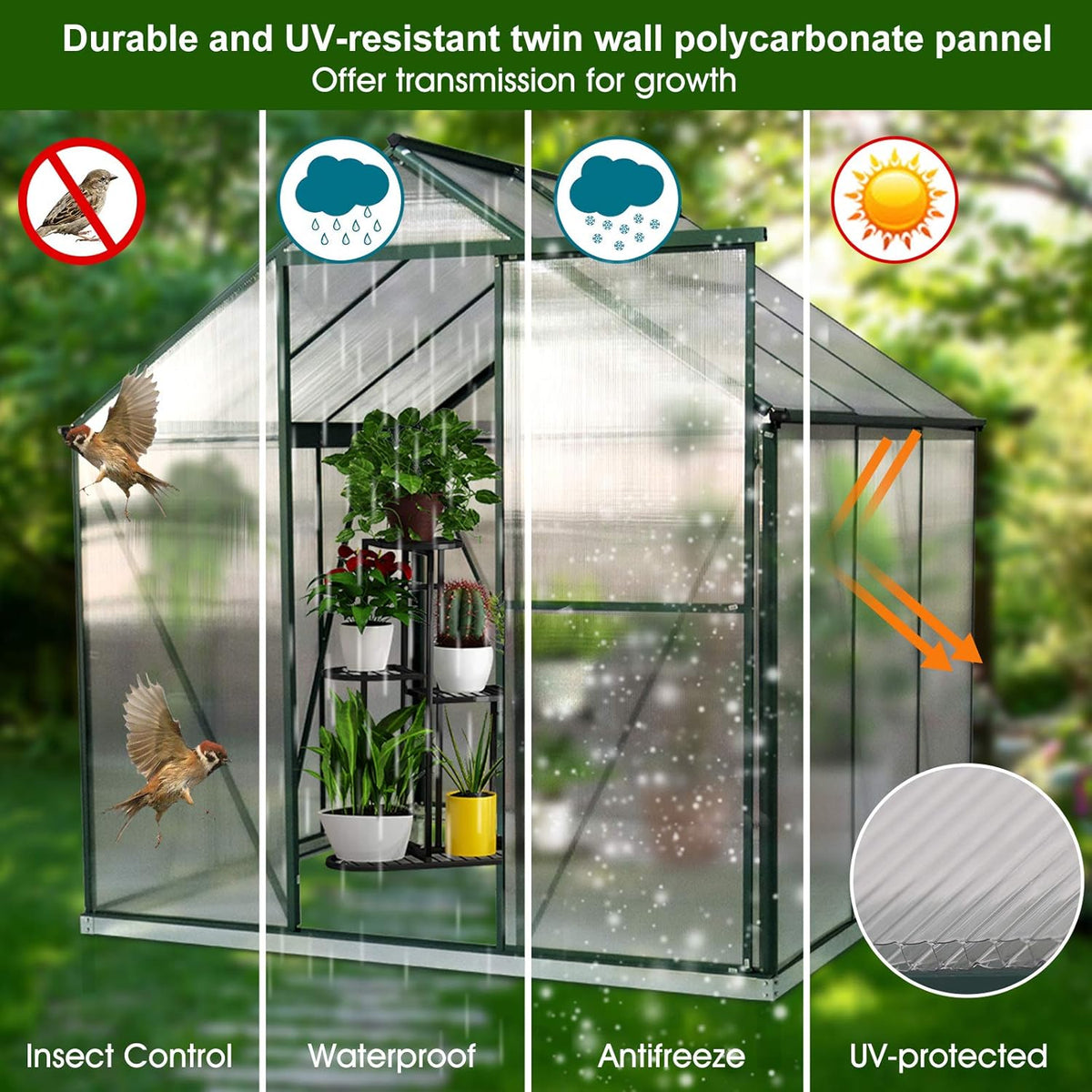 Polycarbonate Greenhouse with Sliding Door 8' x 6' S716