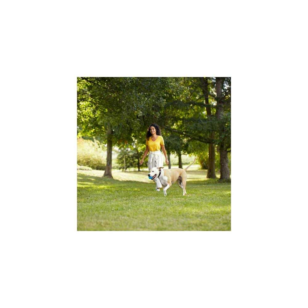 Natural Dry Dog Food with Beef O9086