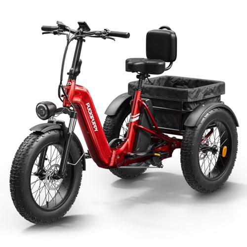 Electric Trike with 750W Motor, 48V 18AH Battery, 20" Fat Tire, Large Basket O924366