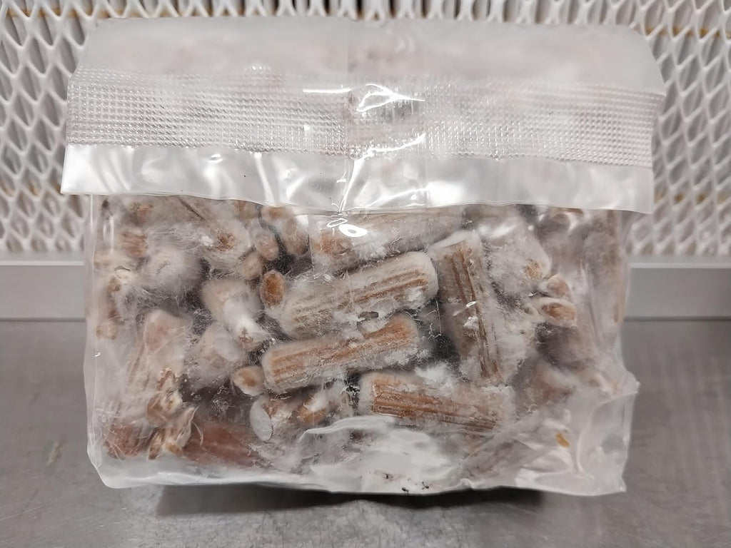 100 Lion's Mane Mushroom Plug Spawn B273764