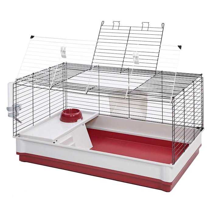 Rabbit Home J469282