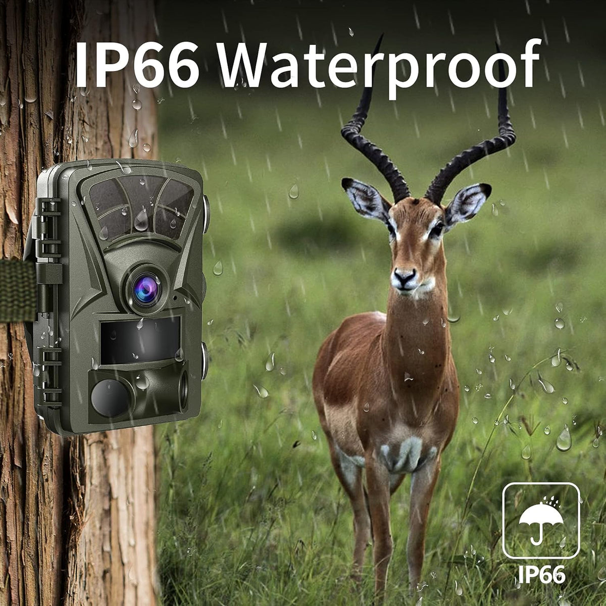 21MP 1080P Trail Camera with Night Vision T195