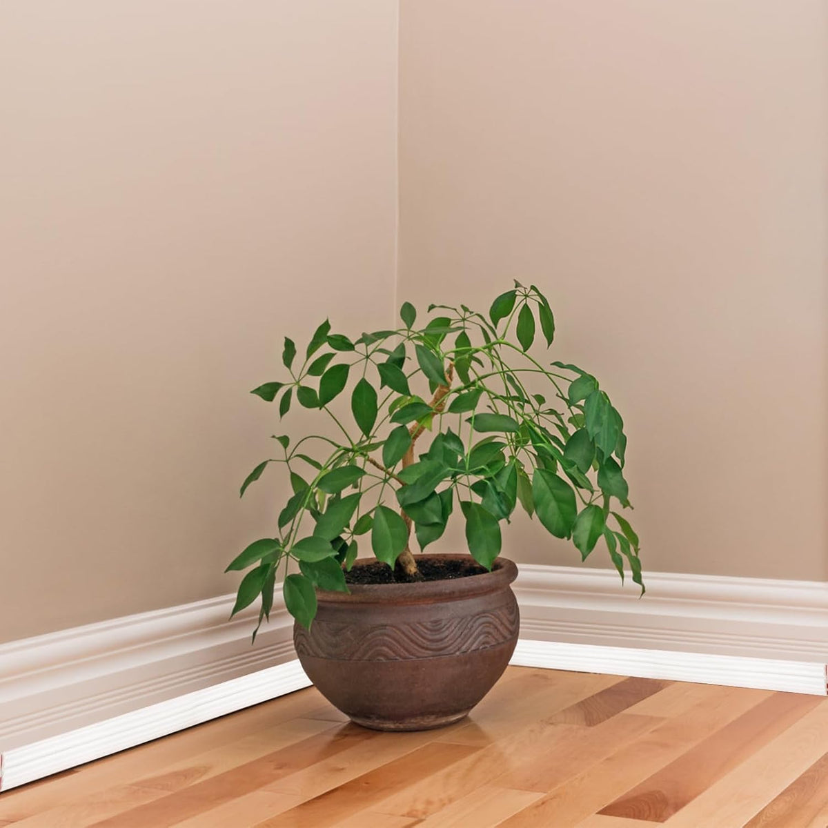 Creamy White 16.4 Ft x 1.5 In Self-Adhesive Wall Molding Trim S908583