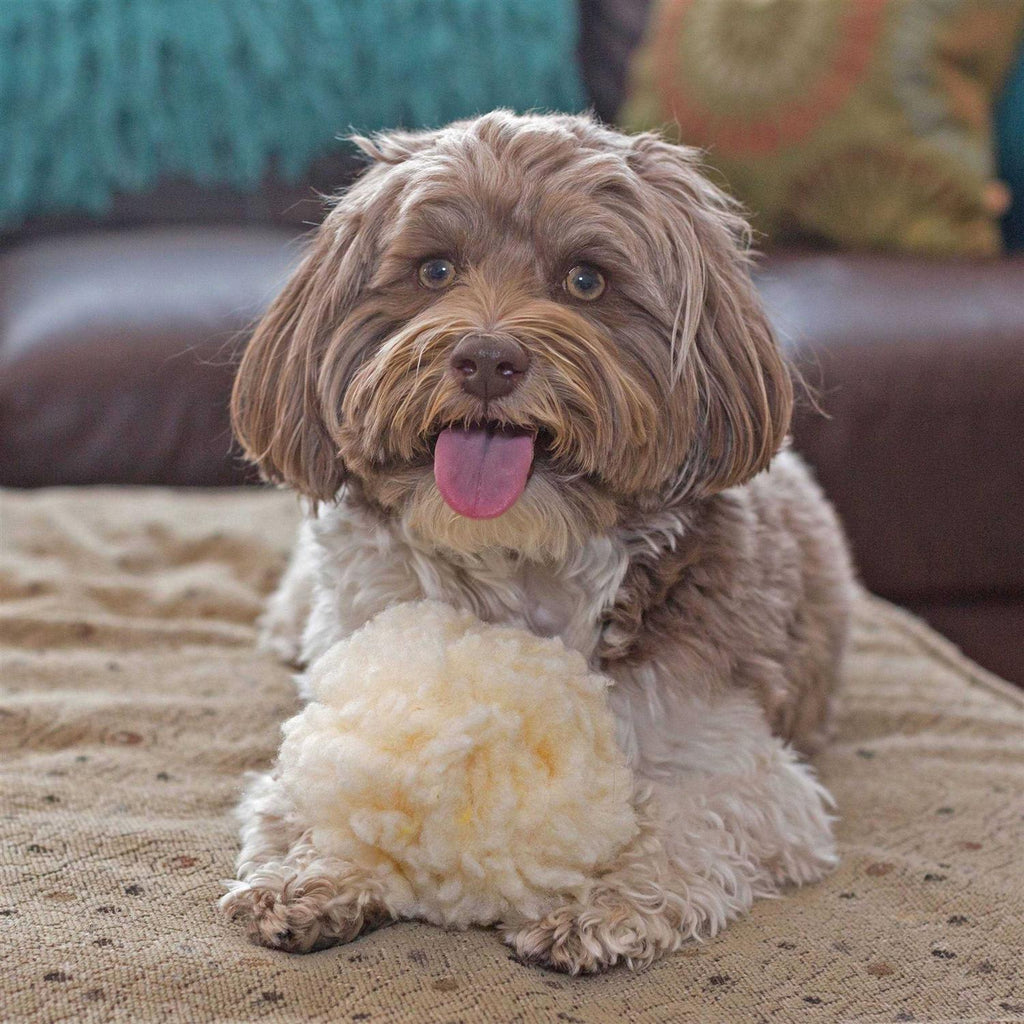 HuggleFleece Ball Dog Toy B8674