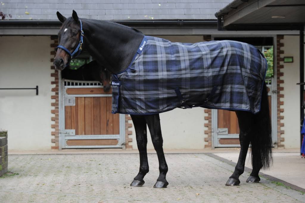 Stable Medium Tartan R210298