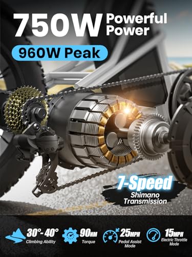 Electric Trike with 750W Motor, 48V 18AH Battery, 20" Fat Tire, Large Basket O924366