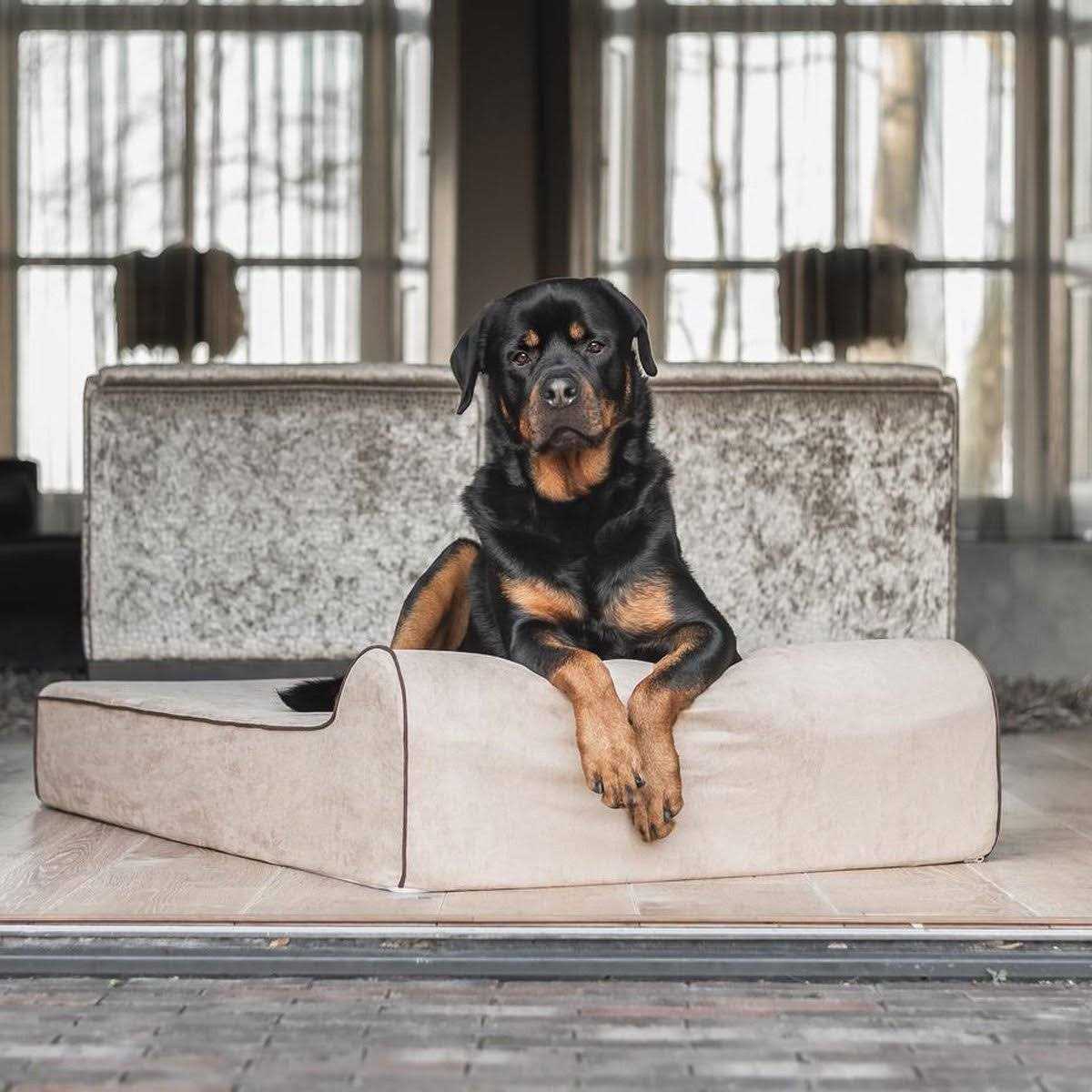 Orthopedic Waterproof Dog Beds H318355