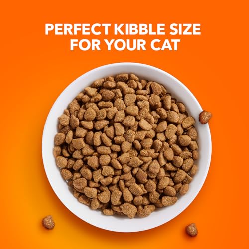 7 lb. Dry Cat Food with Chicken & Turkey K1842