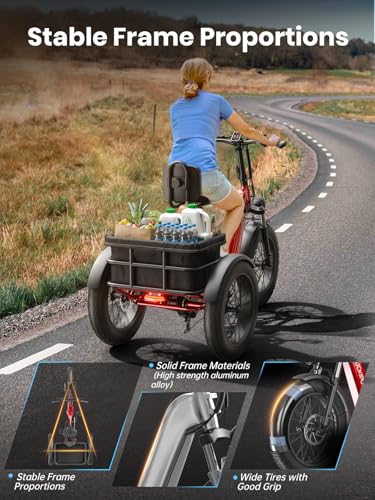 Electric Trike with 750W Motor, 48V 18AH Battery, 20" Fat Tire, Large Basket O924366