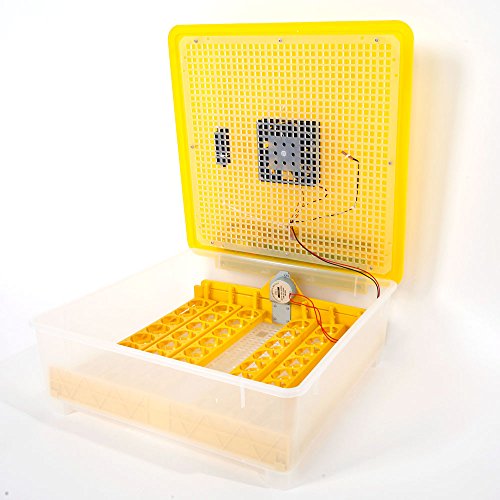 48 Egg Incubator with Automatic Egg Turning C246