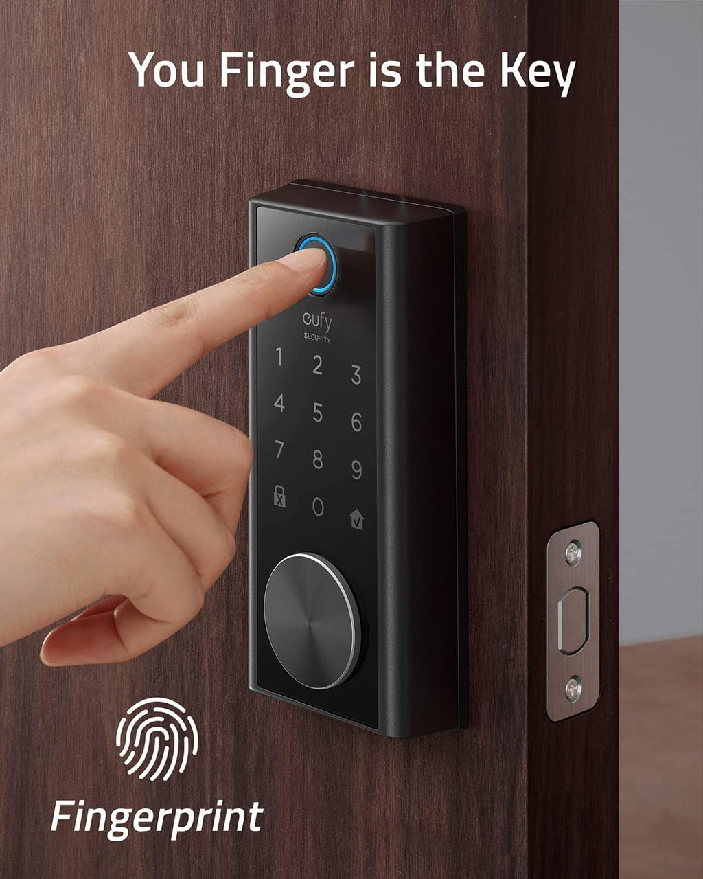 Smart Lock Touch & Wi-Fi Fingerprint Keyless Entry Door Lock D856