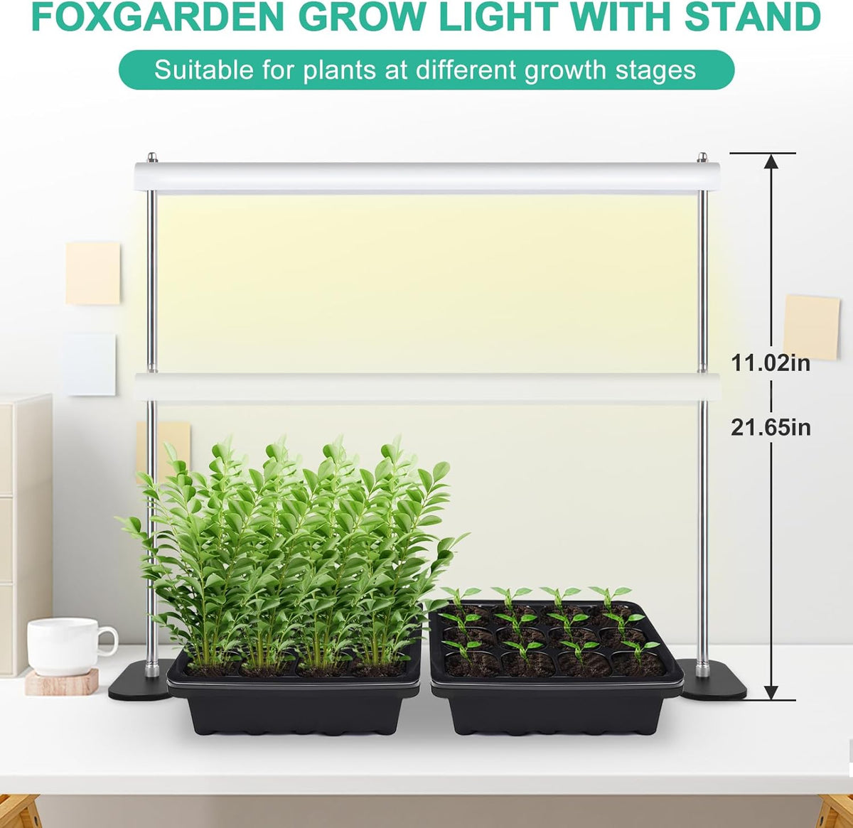 Grow Light Stand with Timer D3165