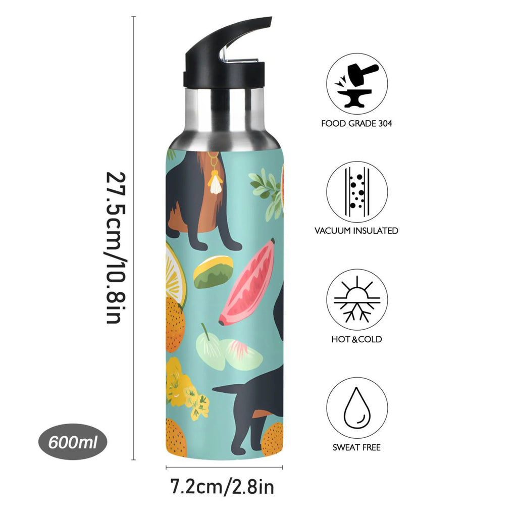 Insulated Stainless Steel Water Bottle with Straw Lid, 20 oz S4734