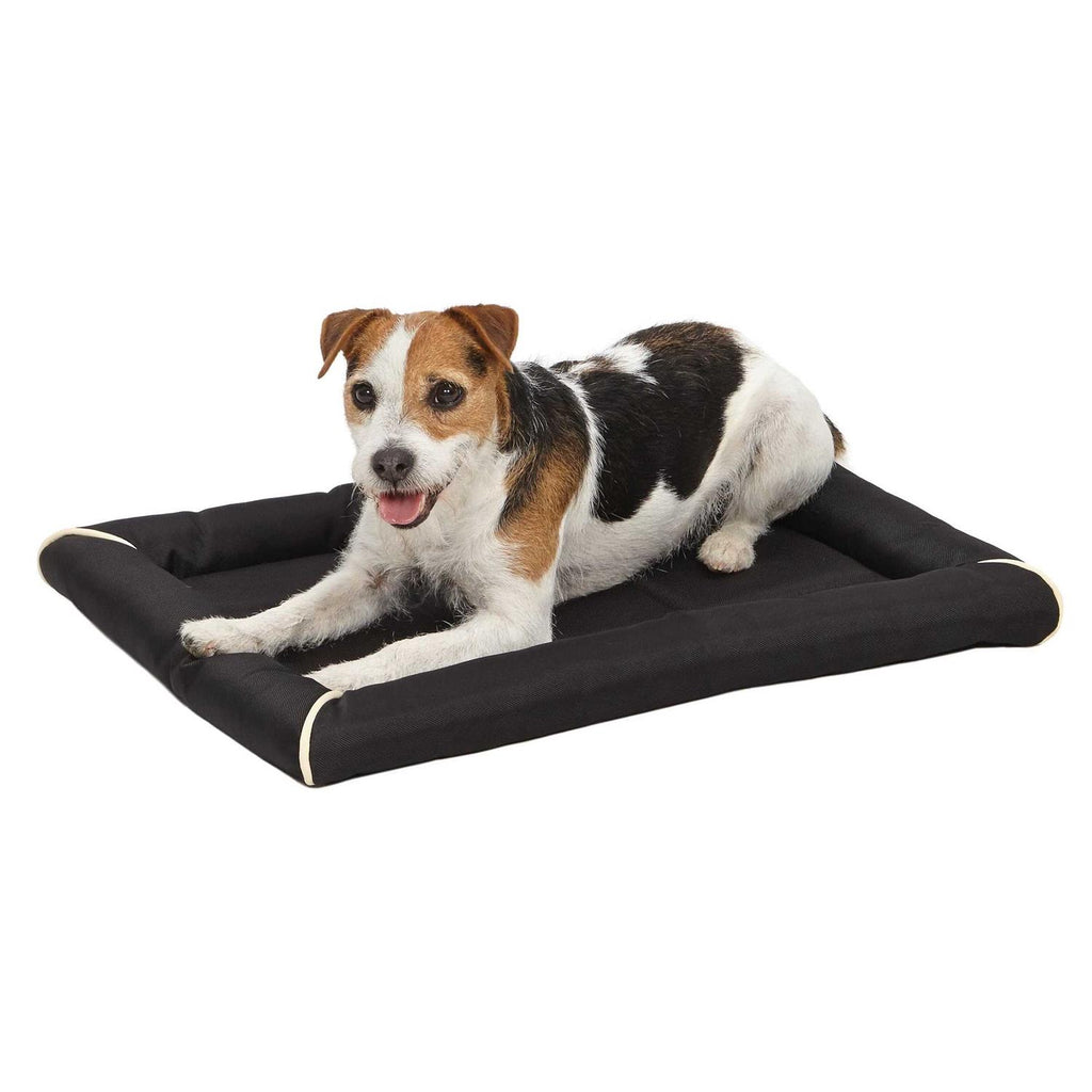 Quiet Time Maxx Pet Bed I47567