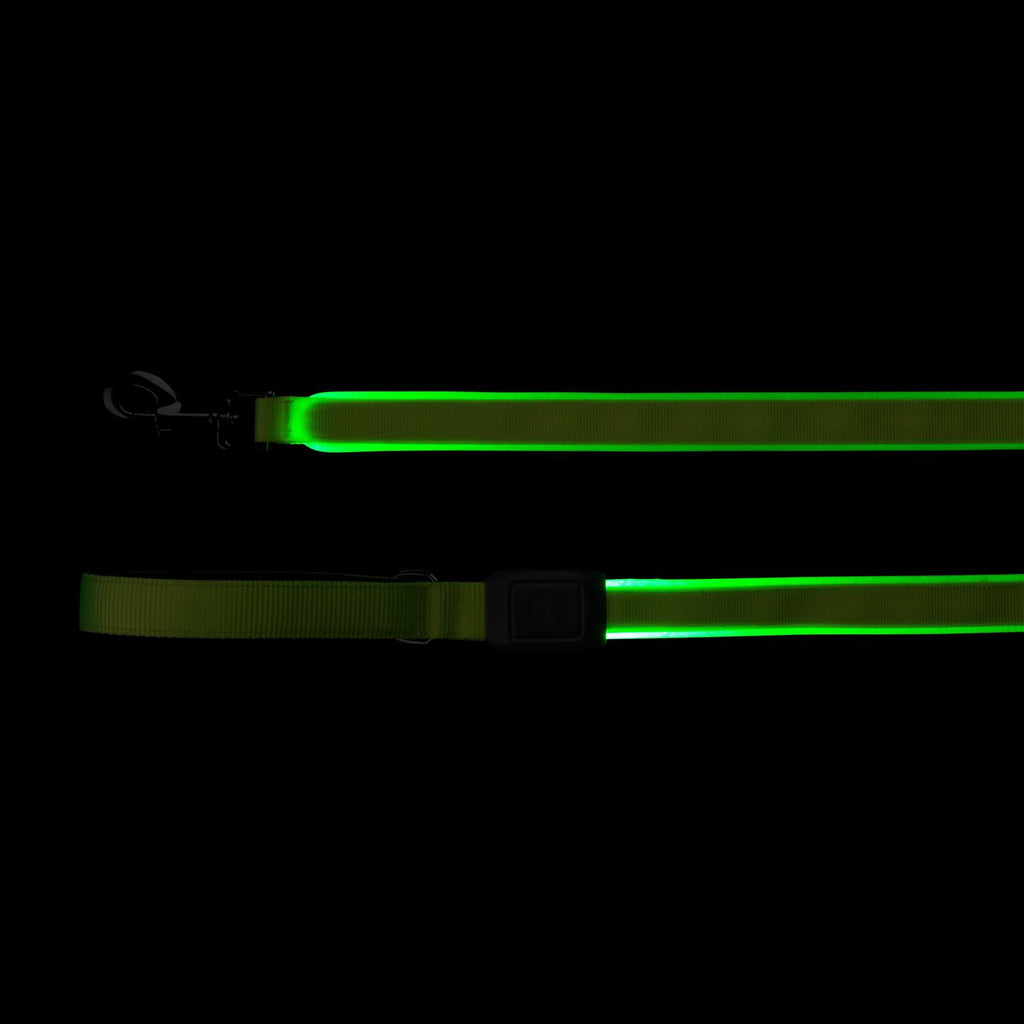 Rechargeable LED Leash N5663