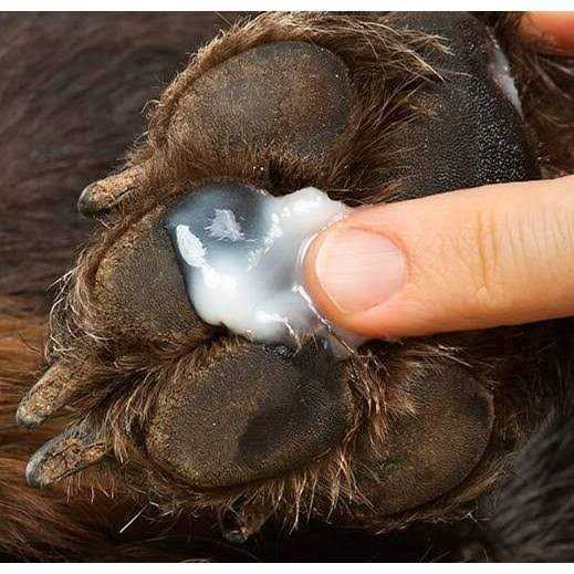 Anti-Itch Hot Spot Relief for Pets with Hydrocortisone L959